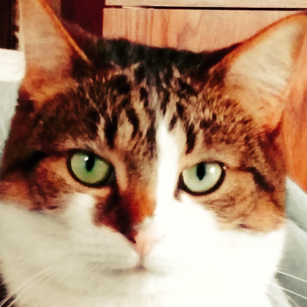 windowguy767's tweet image. 