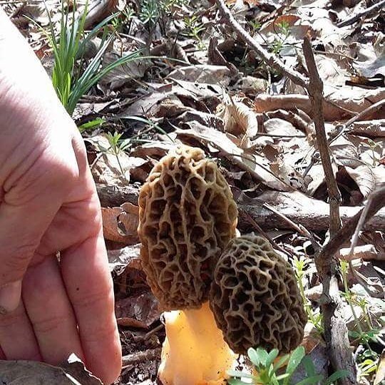 windowguy767's tweet image. 