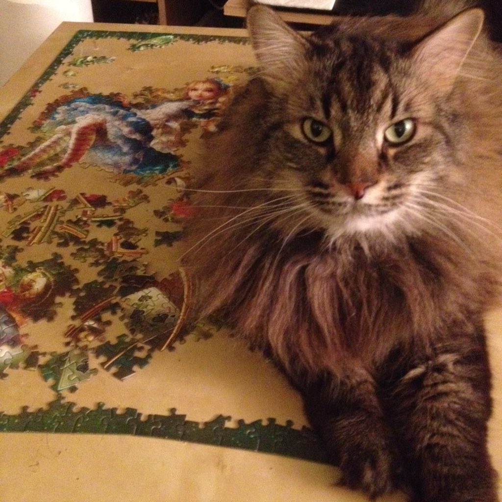 ConquerorAscot's tweet image. Oh, I&apos;m sorry. We&apos;re you USING this puzzle. What a shame.