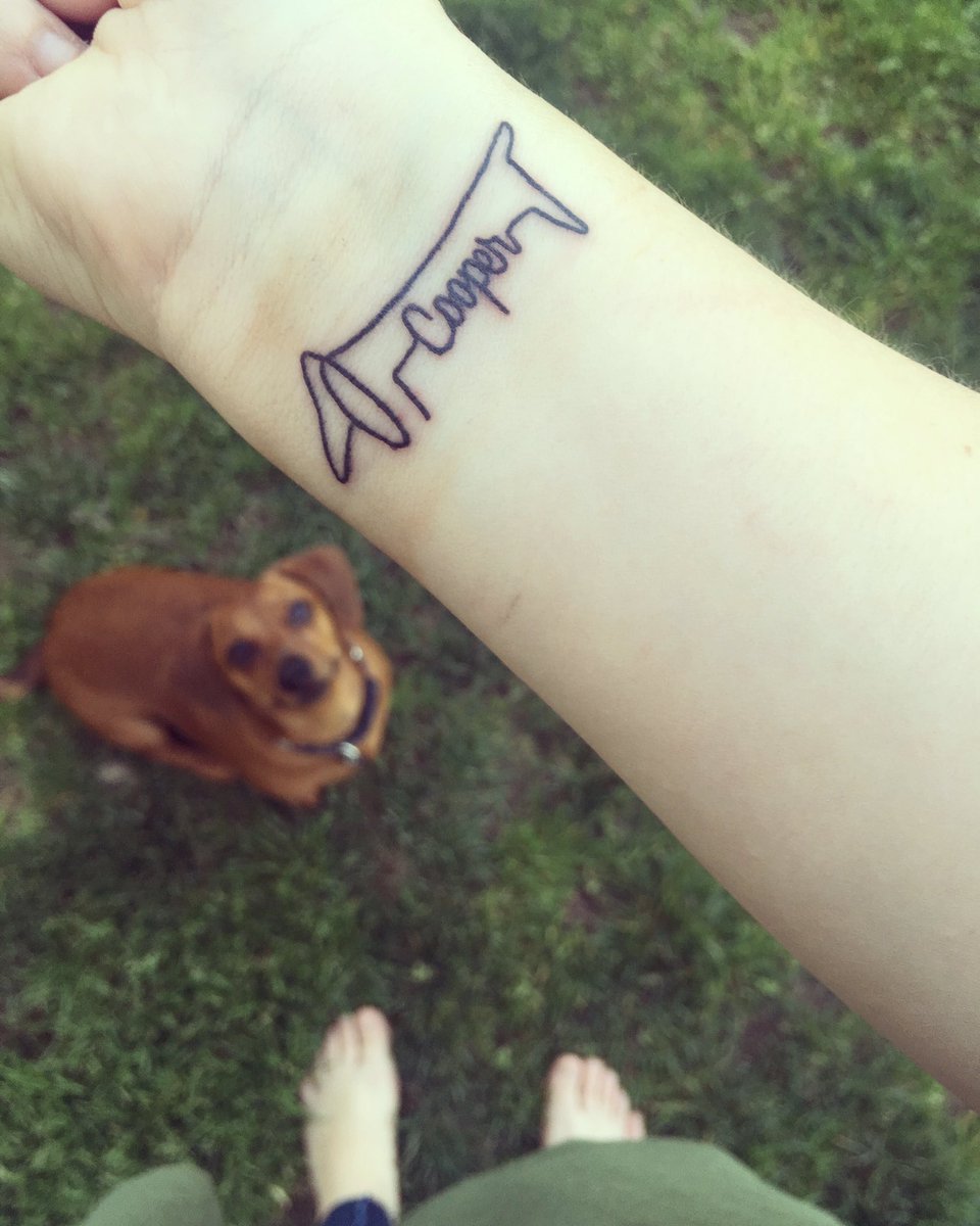 ashmo_morgan's tweet photo. My dachshund does this amazing thing where he just exists and makes my whole life better because of it. https://t.co/joX9EbJAKC