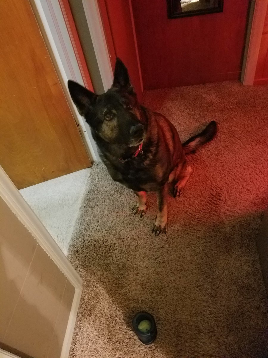 fakeDekeyser65's tweet photo. #DailyDiesel https://t.co/XDmASN66ym