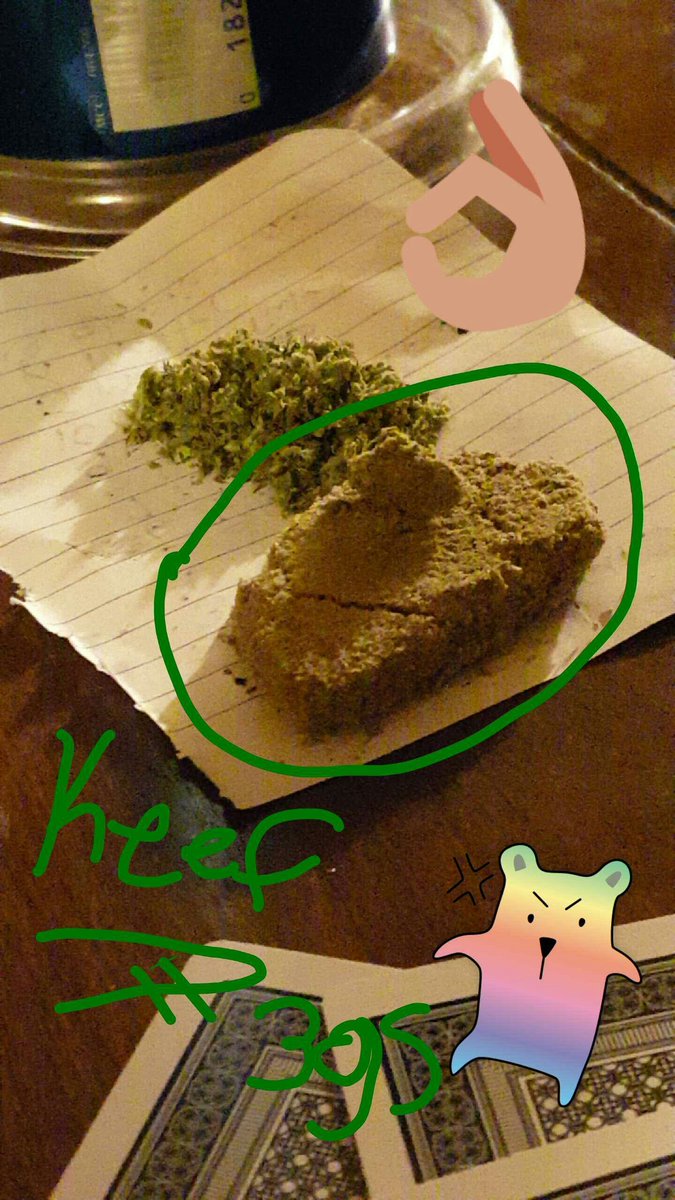kspencer822's tweet photo. #keef #weed #smokeup #roleup #herbalmedicine #kush #blazin #Stoner4Life 😄😎💚🔥💨💯 @stoner_stuff https://t.co/Eti5dZyc1p