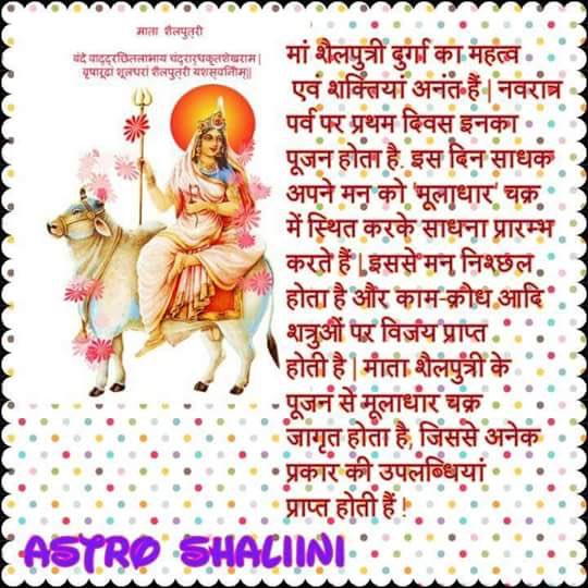sohitku's tweet photo. Jai mata ji 🐄 https://t.co/3BACgNcRwj