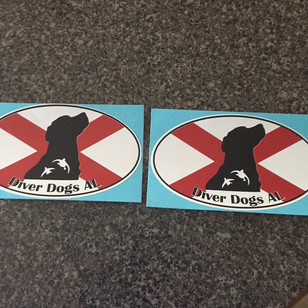 Coltie_bear39's tweet image. Decals for sale. Message me if interested. #DiverDogsAL