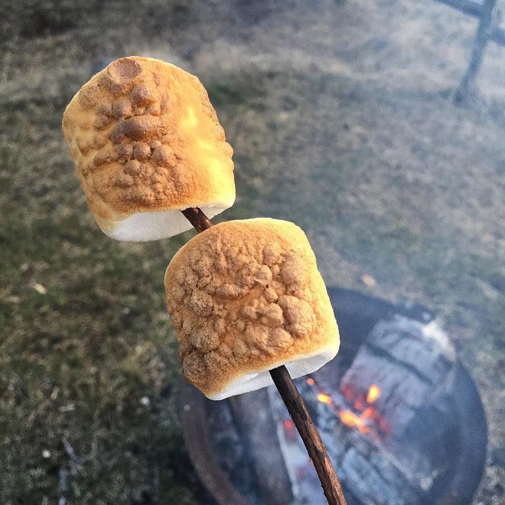 Squidsea's tweet photo. Fine dining. #toastedmarshmallow #firepit #watchlake https://t.co/vKwi8RBUws https://t.co/8ooMEDiPst