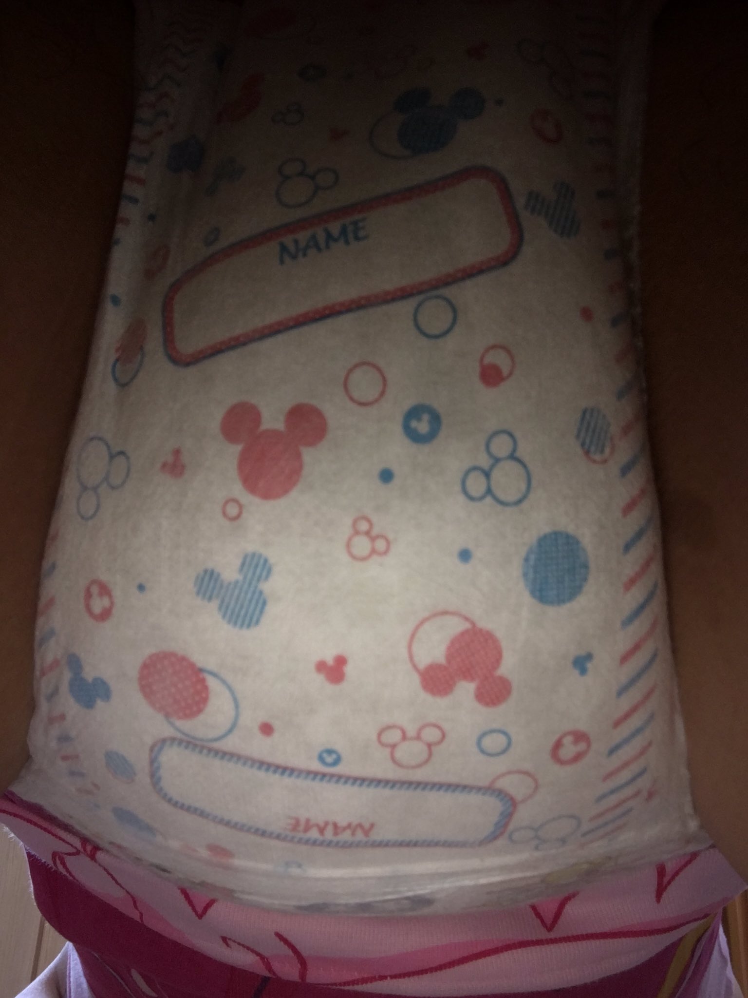 すもも マミーポコ ミッキーも可愛い T Co 1vs1ke6civ