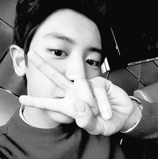 garsara614's tweet photo. Because #EXOLSelcaDay 💕#4YearsWithEXO #EXO4thAnniversary https://t.co/nqhyaaWquv