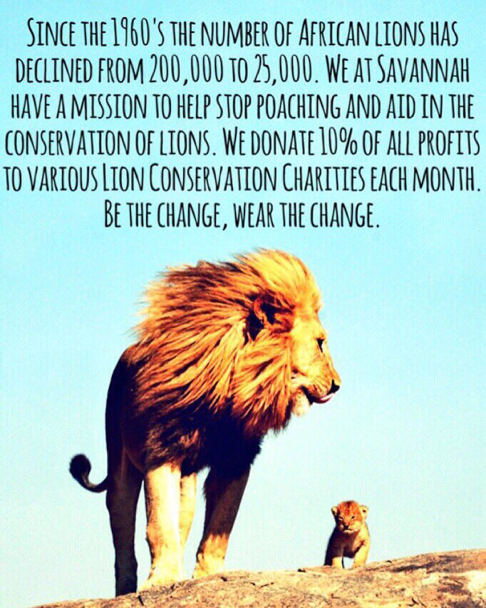 ShopSavannah's tweet photo. Every purchase brings us another step closer to saving the African Lions 🦁❤️🌍✌🏼️

shop ➵ https://t.co/ooagfq3CD3 https://t.co/UN8lREBddd