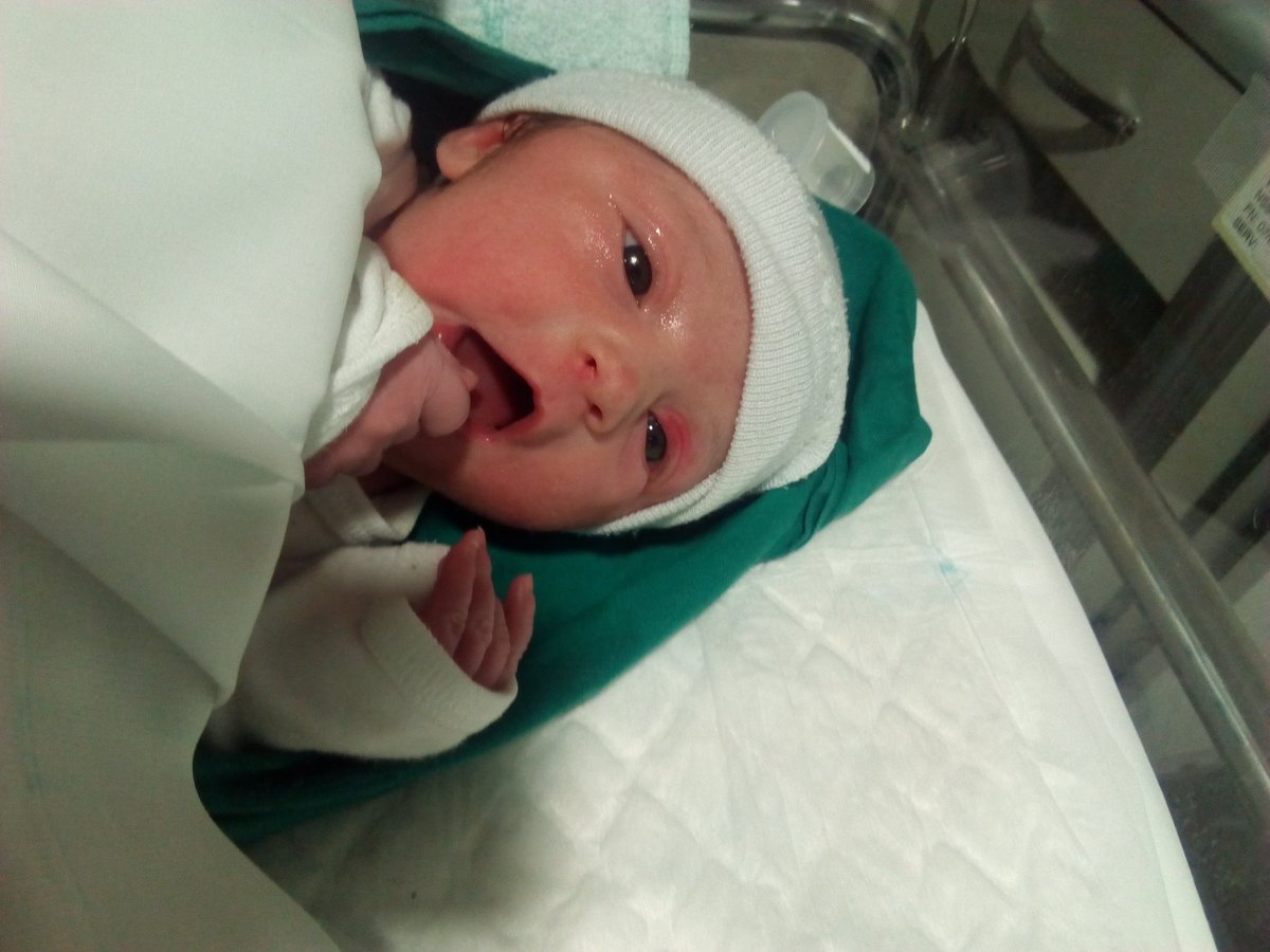 CocolinaJose's tweet photo. Aquí esta la nueva joya de la familia!!
#BienvenidaVega
@CocolinaJose https://t.co/48tjVDC1Hf
