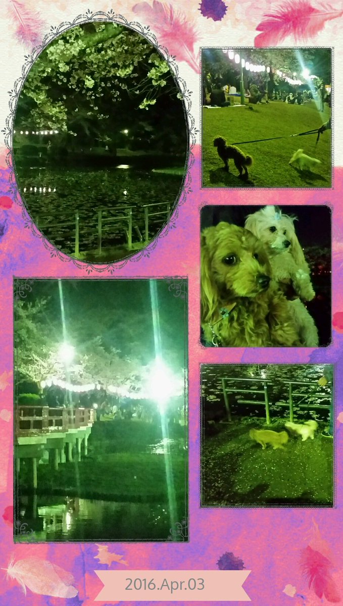 ChiekoMMC's tweet photo. 岩槻城址公園 https://t.co/7Uyh7sDlVG