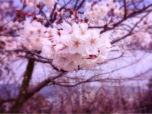 lanjdesd's tweet image. 