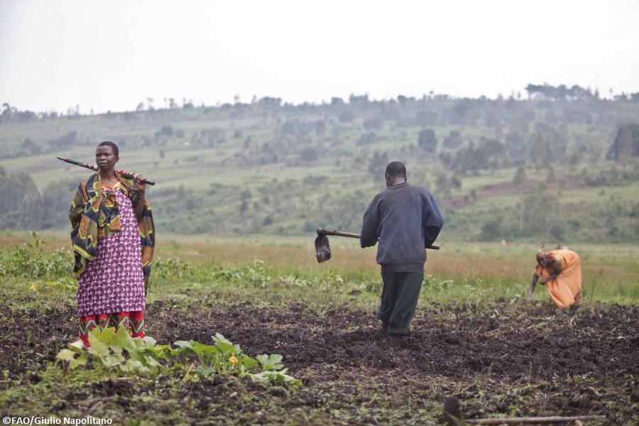 Integration, efficiency, sustainability – keys to the future of #agriculture. #Burundi case: bit.ly/1quFslg
