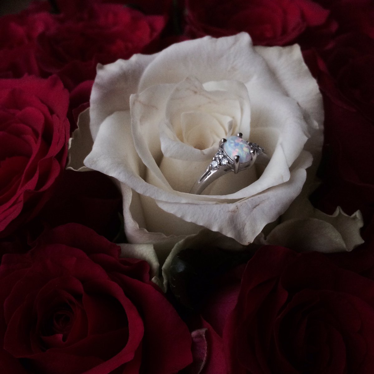 that moment at my birthday morning 🌹💍