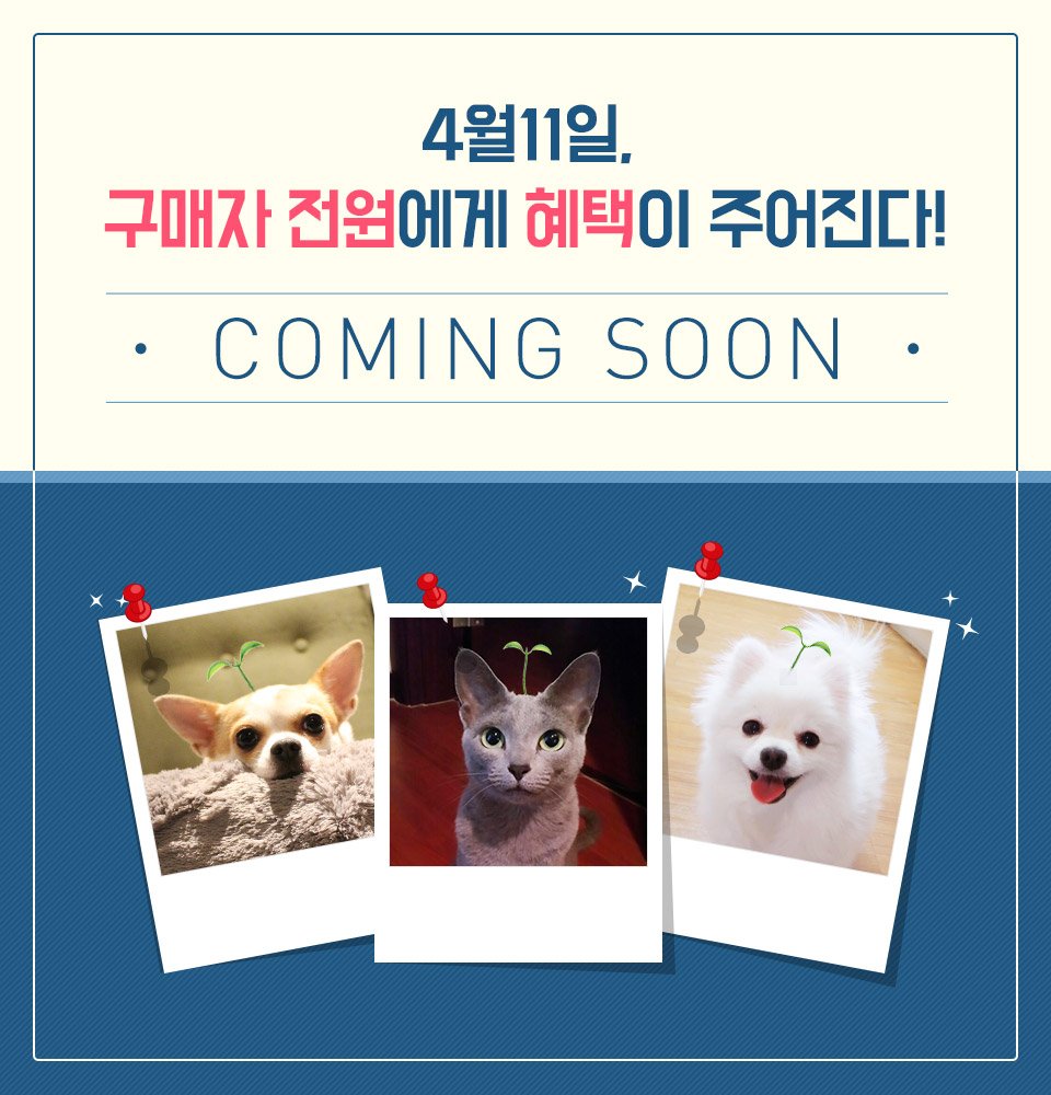 petsbe's tweet image. 4월 11일, 구매자 전원 혜택이 주어진다!
펫츠비바로가기 ▶goo.gl/YFzTmx