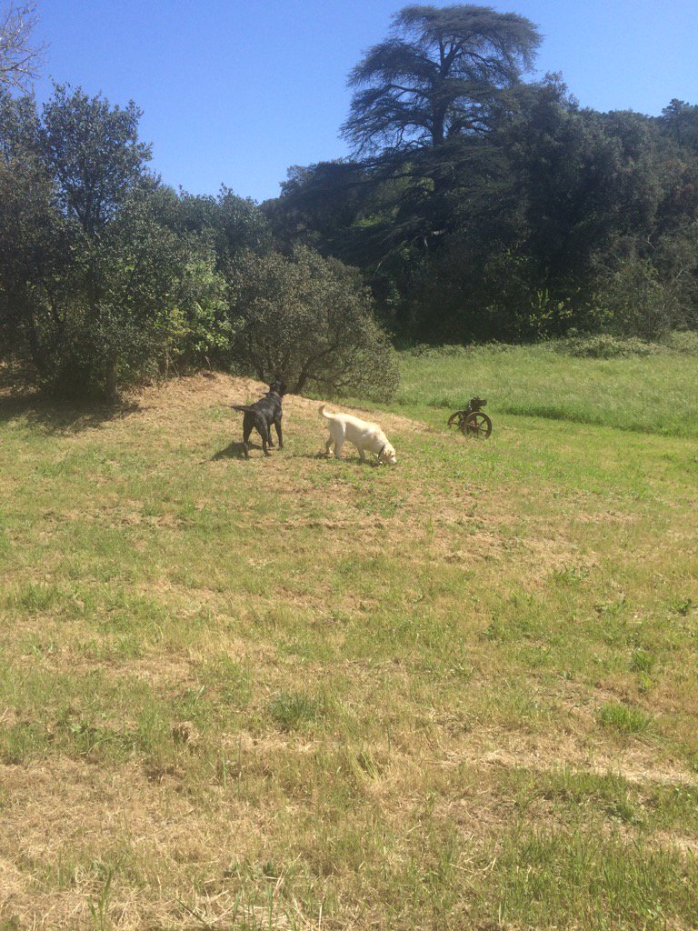 Pierrin Michel tweet media