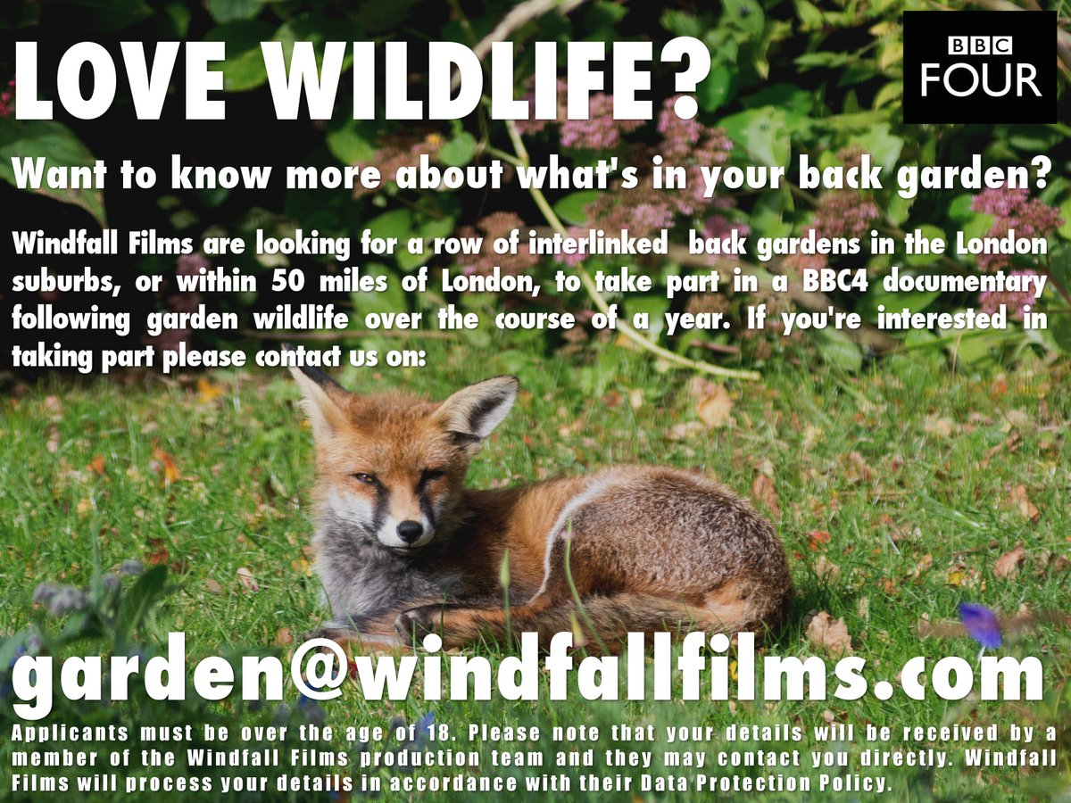 @WildWoodberry Any chance of a retweet? Many thanks!