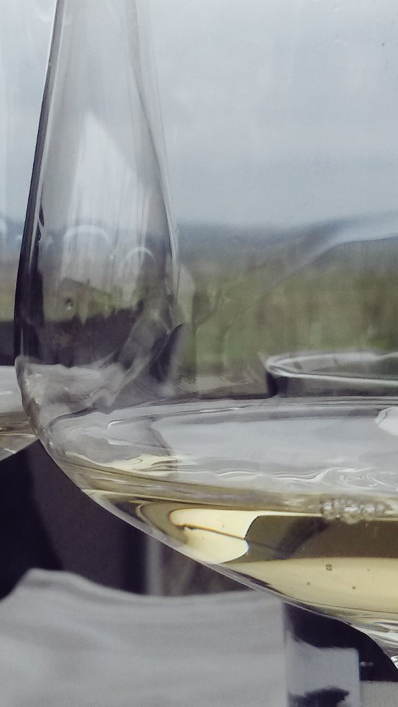 Carlastheorie's tweet photo. Blown away by #Wagram and #Traisental: #GrünerVeltliner #Riesling #WeingutHofmann #WeingutLeth #SeppMoser https://t.co/cGx9w9Fjk2