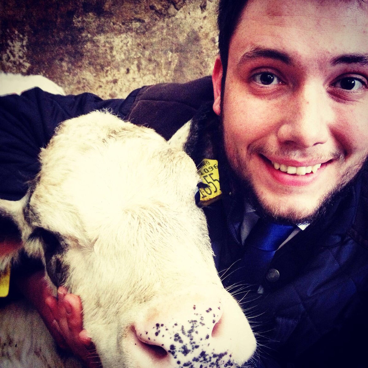 sc99talent's tweet photo. #SCNSuccess #funtimefriday winner Lee Martin enjoying his #interesting prize 🐄 #eracscotland rewarding hard work 🏆 https://t.co/45ckHSHQFW