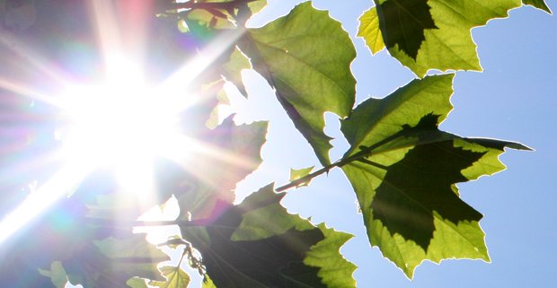 Sonnigen Start ins #Wochenende und einen tollen #ff @InderMittevon @Wintershall_de @sone779 #kassel (eul) https://t.co/jFC5yvD9KM