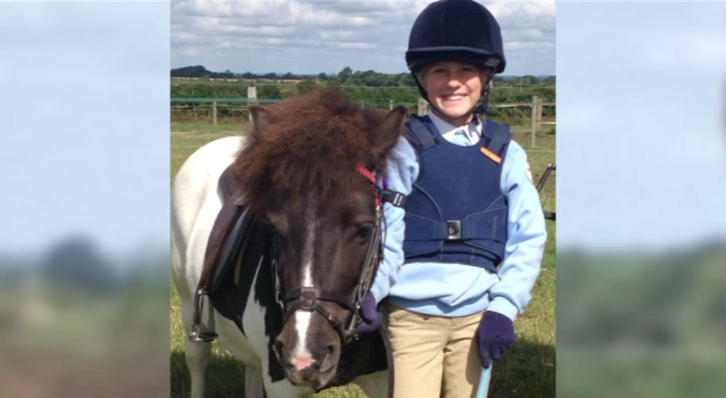 BBCSouthNews's tweet photo. Hundreds of horse photos shared in tribute to Bonnie Armitage #blueforbonnie https://t.co/UyFtXG9RjI