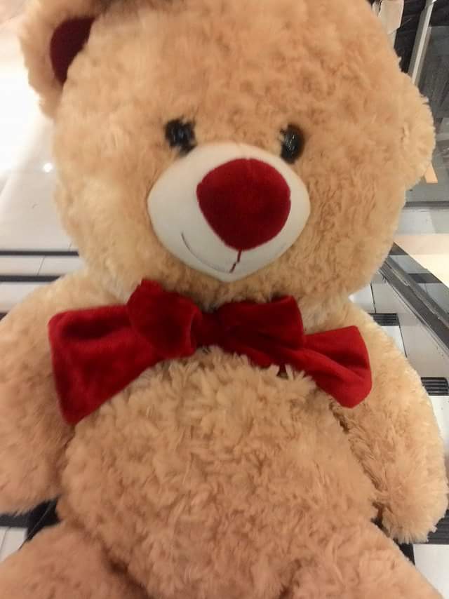 Jjpaks's tweet photo. This👉 🐻👈 Shocks! 🙋☺ 
#Surprised.👏🎁
#ArvinDayritSembrano! 👍❤ https://t.co/zzuIzaNUN0