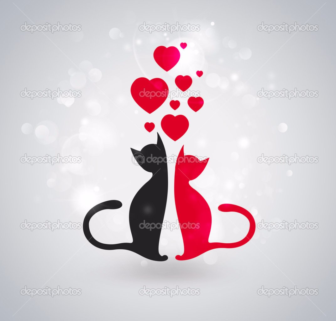 Влюбленные коты