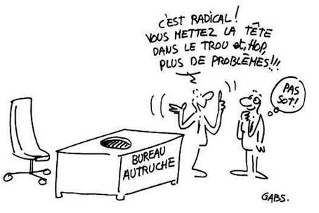 CHECy tweet media