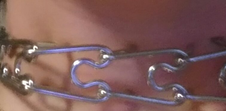 MistressBek's tweet photo. All men are animals, some just make better pets. put a collar on you, see if you're worthy to be My pet. https://t.co/rFfv6jil2G