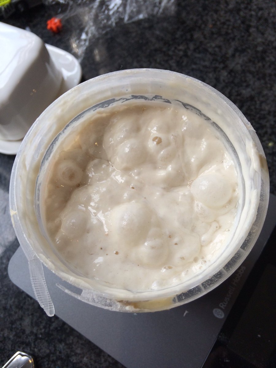 Here's the sourdough I looked after when the baker went on hols. No pressure! 
Bubbly.