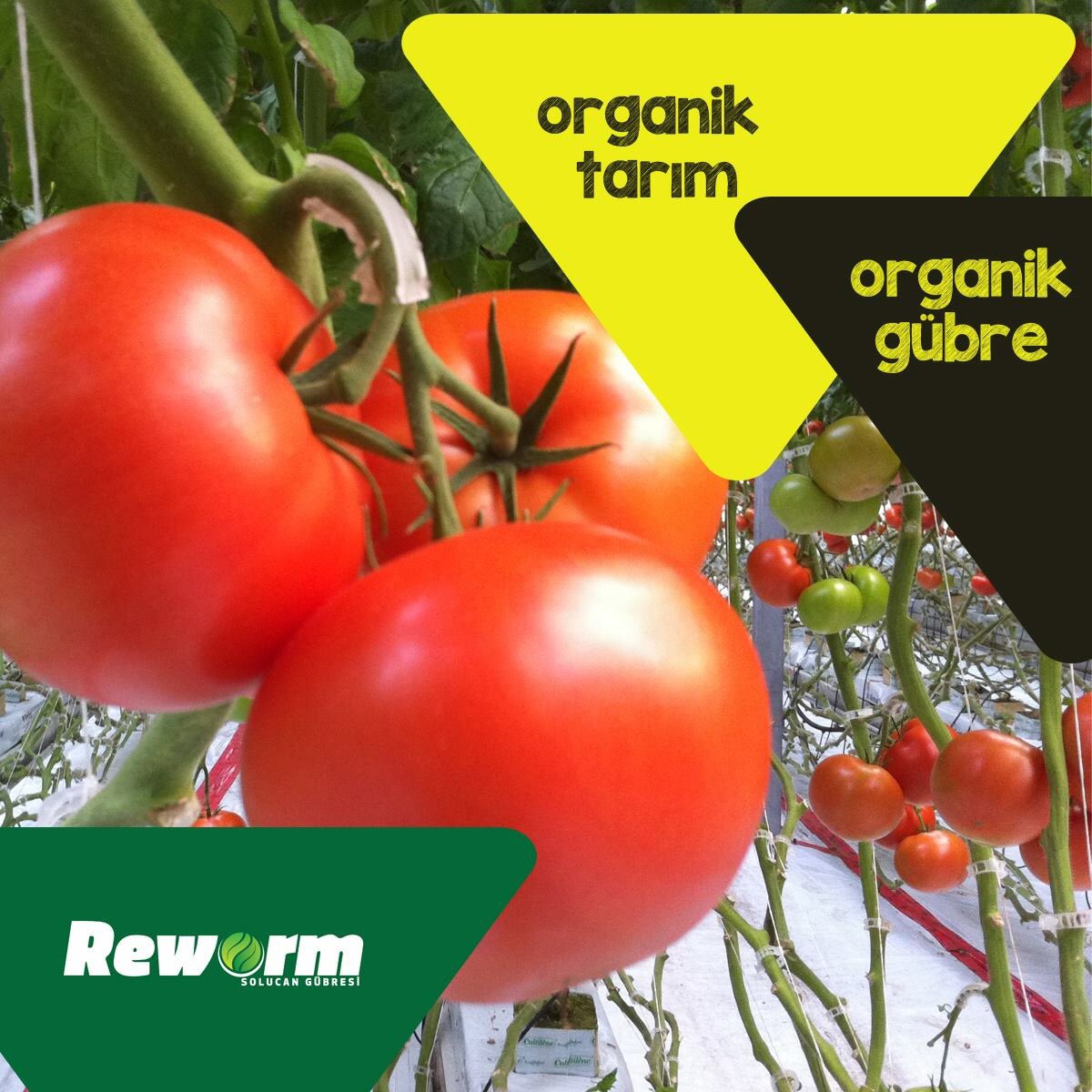 Reworm's tweet photo. Zaman daralıyor. Organik tarıma başlayın,başladıysanız hemen organik solucan gübresi edinin! #reworm #solucangubresi https://t.co/LSRePwvTxz