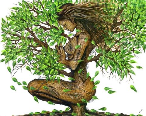 ErbOlistica's tweet photo. #continuando Tutto l'universo cospira affinché tu realizzi il tuo desiderio. Coelho.
Chiedete!!!! https://t.co/8yAKZpGA8q
