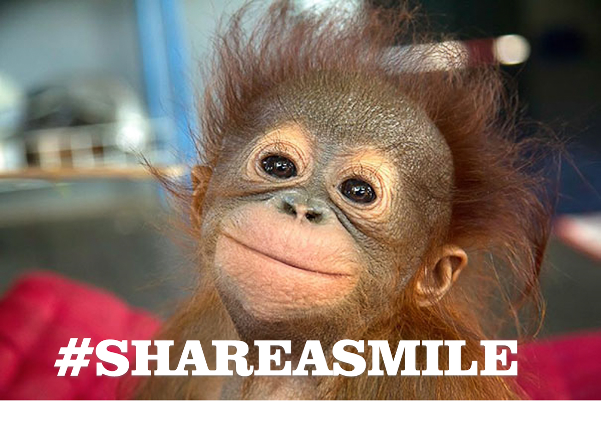HarvestCheweee's tweet photo. How could this adorable pic not make you glad it’s Monday! What’s your #MondayMotivation? #ShareASmile https://t.co/zVL73bBjLk