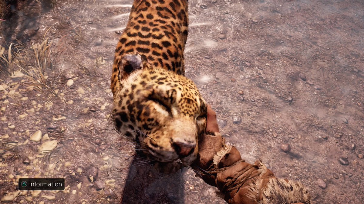 nalaboy's tweet photo. I drive a Jag https://t.co/mg3u2bG7vk