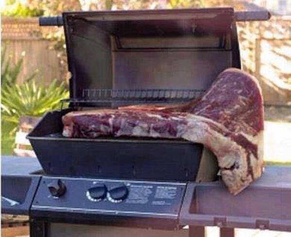 Premium holzkohlegrill Premium holzkohlegrill