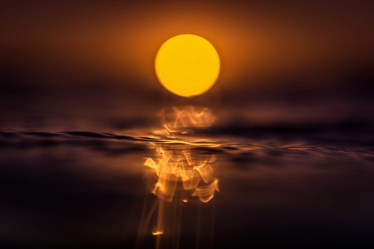 James Vodicka Photo tweet media