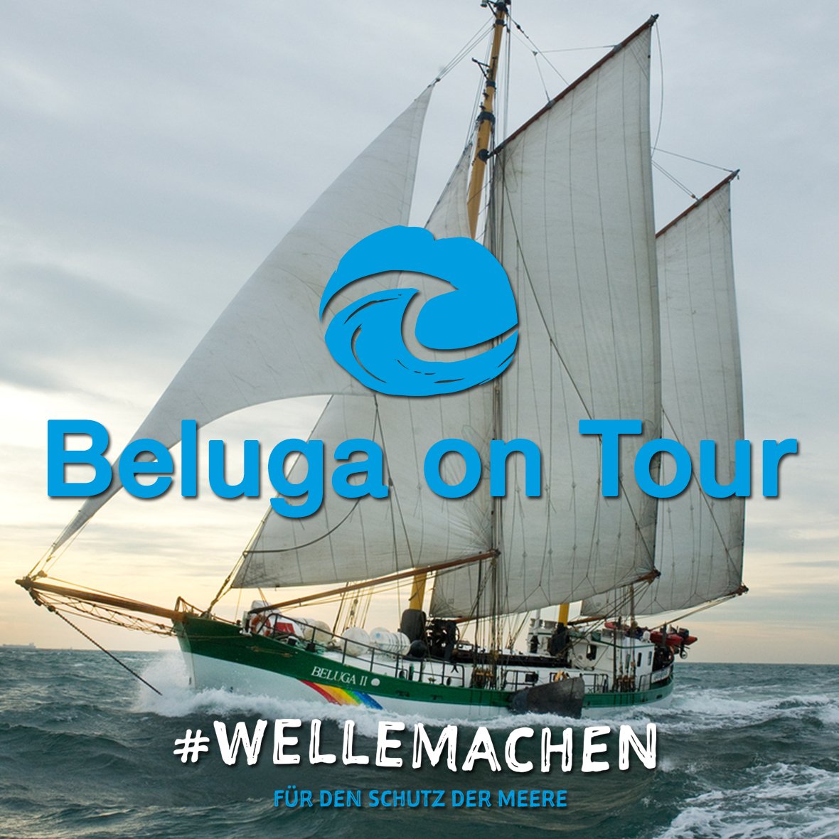 gp_beluga's tweet photo. Die Beluga kommt! Alle Tour-Daten findest du hier: https://t.co/ShmVWMfEP0 #wellemachen https://t.co/9IbPLno7dz