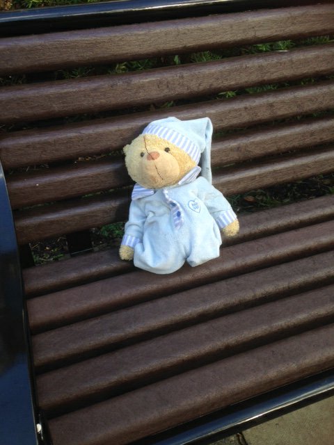 ABCEstates1's tweet image. Anyone in #didsbury missing a bear? He's sunning himself on a bench outside the library . . . . .
