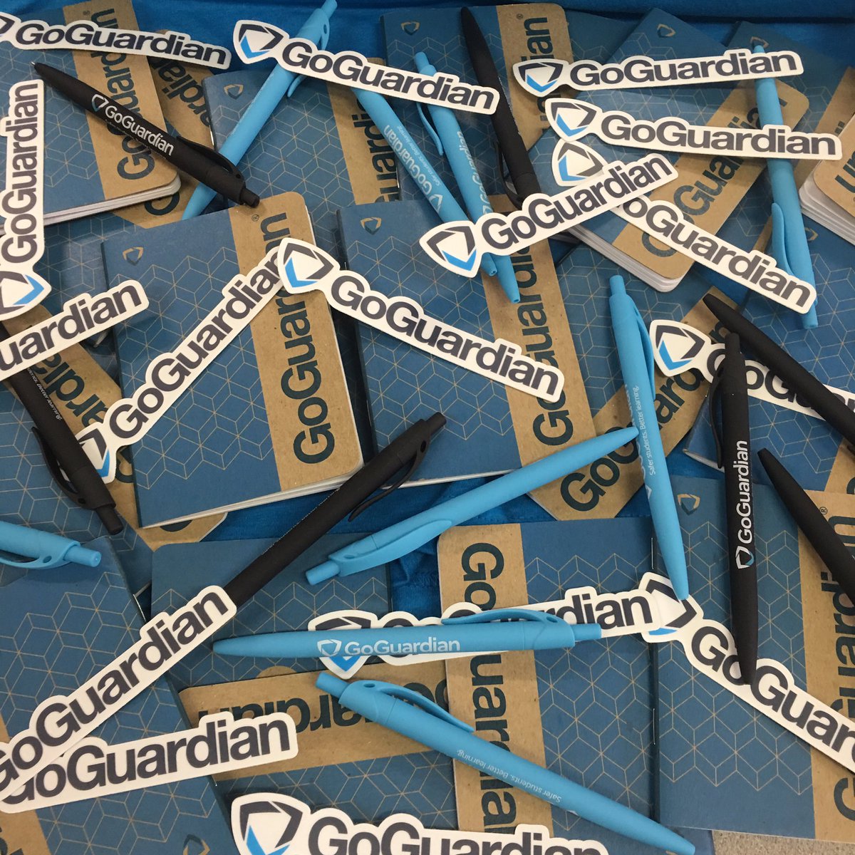 TeamCramer1's tweet photo. THANK YOU @goguardian FOR OUR AWESOME "SWAG BOX" (from the mouths of third graders๐) #goguardianrocks https://t.co/DxMBLsDmUi