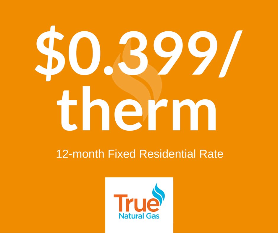 TrueNaturalGas's tweet image. Switch to #TNG for one of the lowest 12-mo fixed residential rate in GA: $0.399! Click: bit.ly/1eGEtaY.