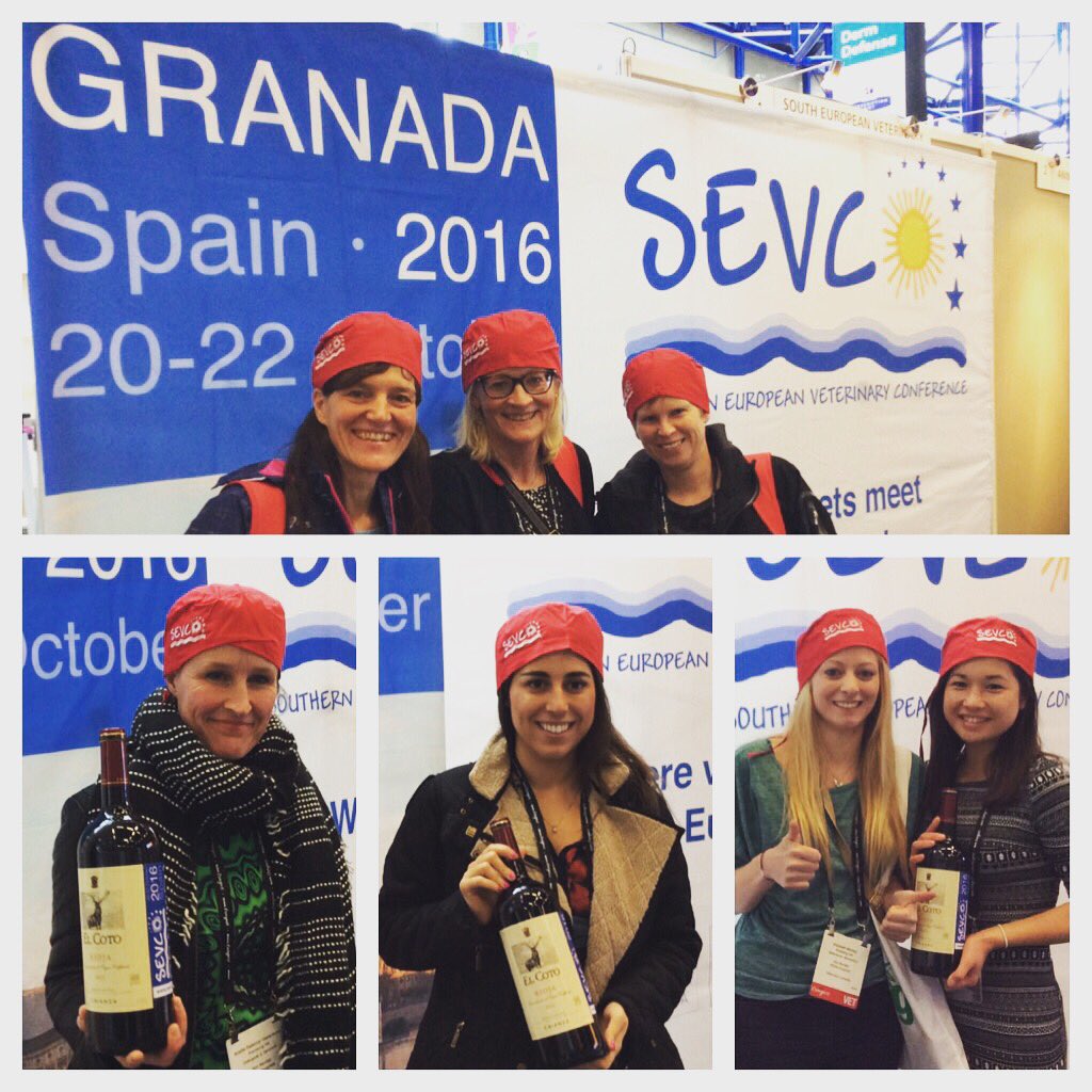 The_SEVC's tweet photo. More and more people has its red surgical cap already. Come get yours! #sevc16 #vetconference #veterinary #bsava16 https://t.co/G1PGBNDjL3