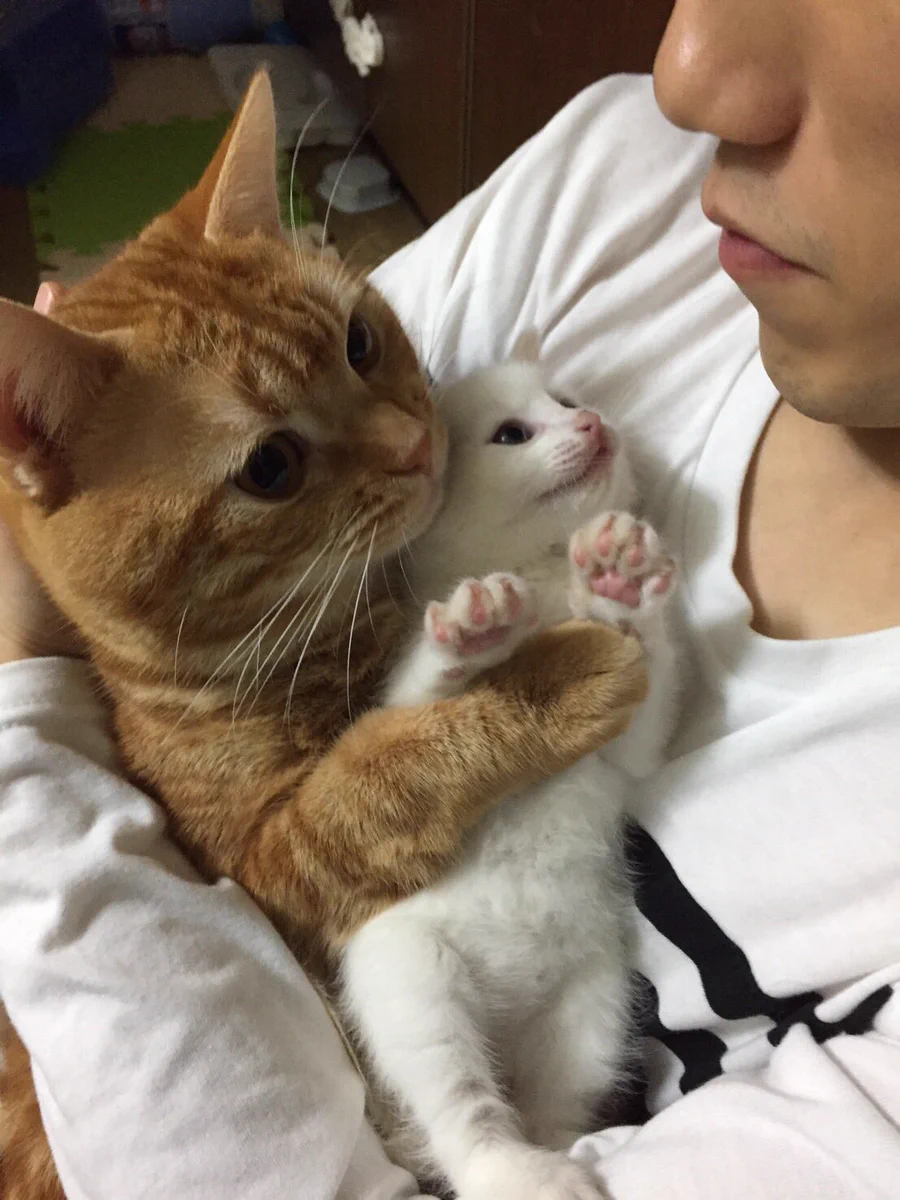 もう絶対話さない！！とっても仲良しな二匹の姿に萌え死注意ｗｗｗ