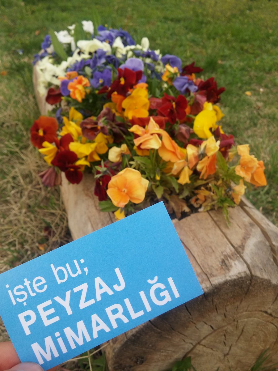 FaRT__'s tweet image. #WLAM2016 
This is LANDSCAPE ATCHITECTURE
İşte bu; PEYZAJ MİMARLIĞI
@peyzajorgtr @iflaEurope