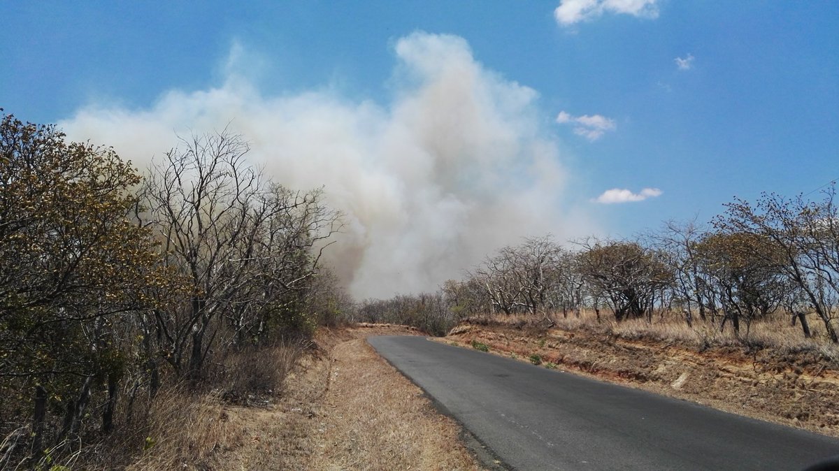 BomberosACG's tweet photo. Seguimos tratando de controlar incendios forestales en el PN Guanacaste del @ACGuanacaste 🔥💪🇨🇷 https://t.co/O4j5t7EIuV