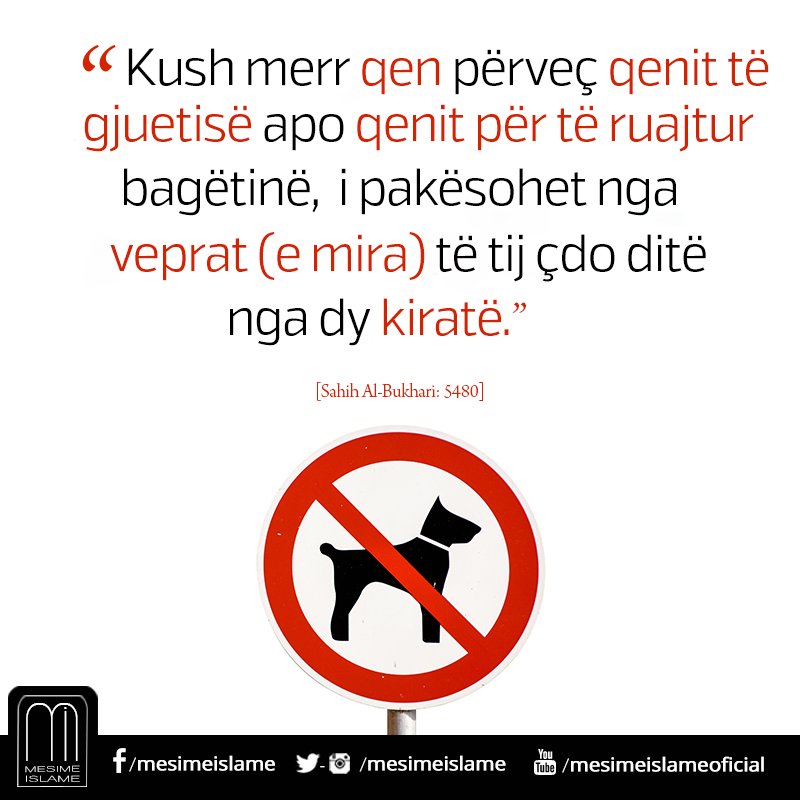 MesimeIslame's tweet photo. Pejgamberi savs. ka thënë:“Melaiket nuk hyjnë në një shtëpi në të cilën ka qenë apo fotografi.
Buhariu dhe Muslimi https://t.co/sFF2ambxyk