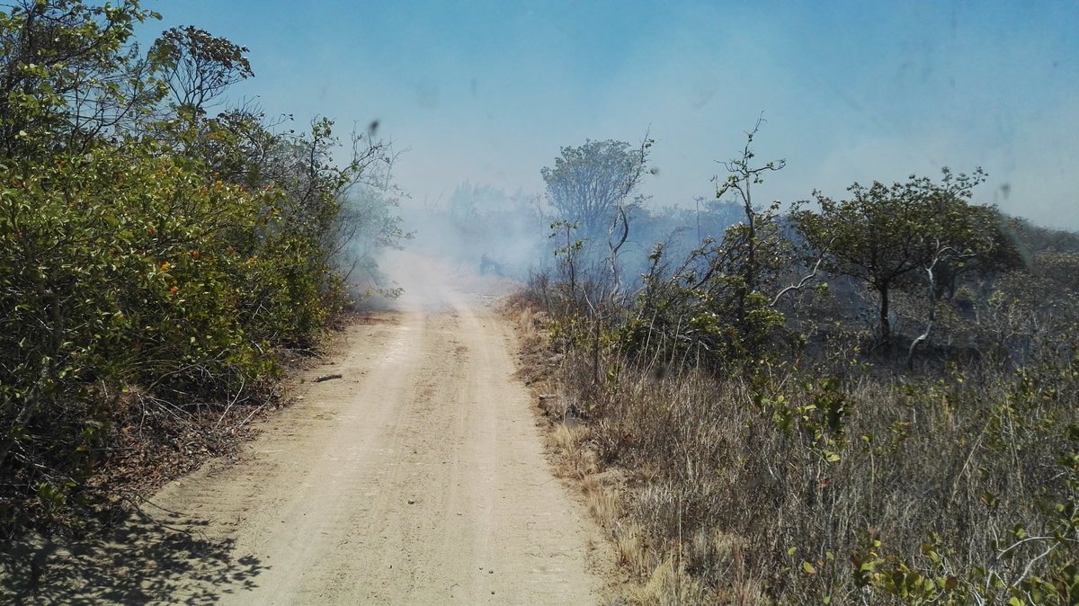 BomberosACG's tweet photo. Seguimos tratando de controlar incendios forestales en el PN Guanacaste del @ACGuanacaste 🔥💪🇨🇷 https://t.co/O4j5t7EIuV
