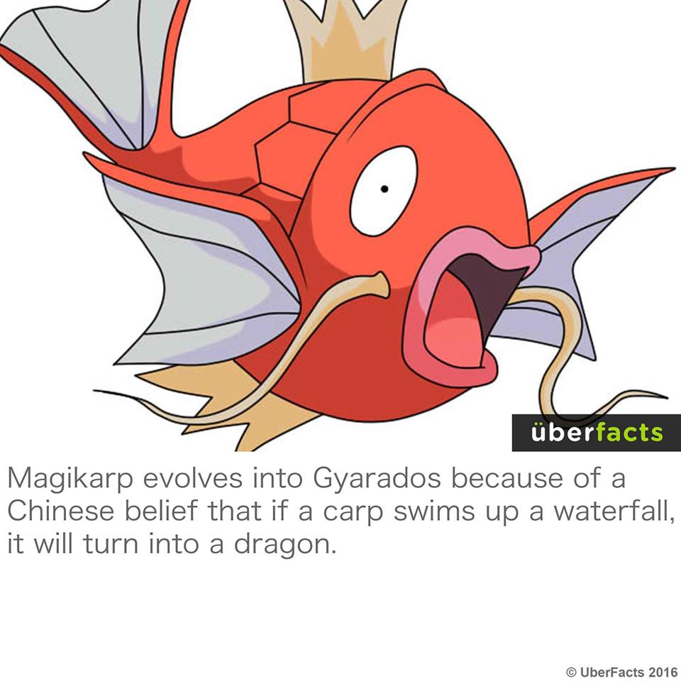 SaltLightGaming's tweet image. Happy Friday!!! #Pokemon #FactFriday