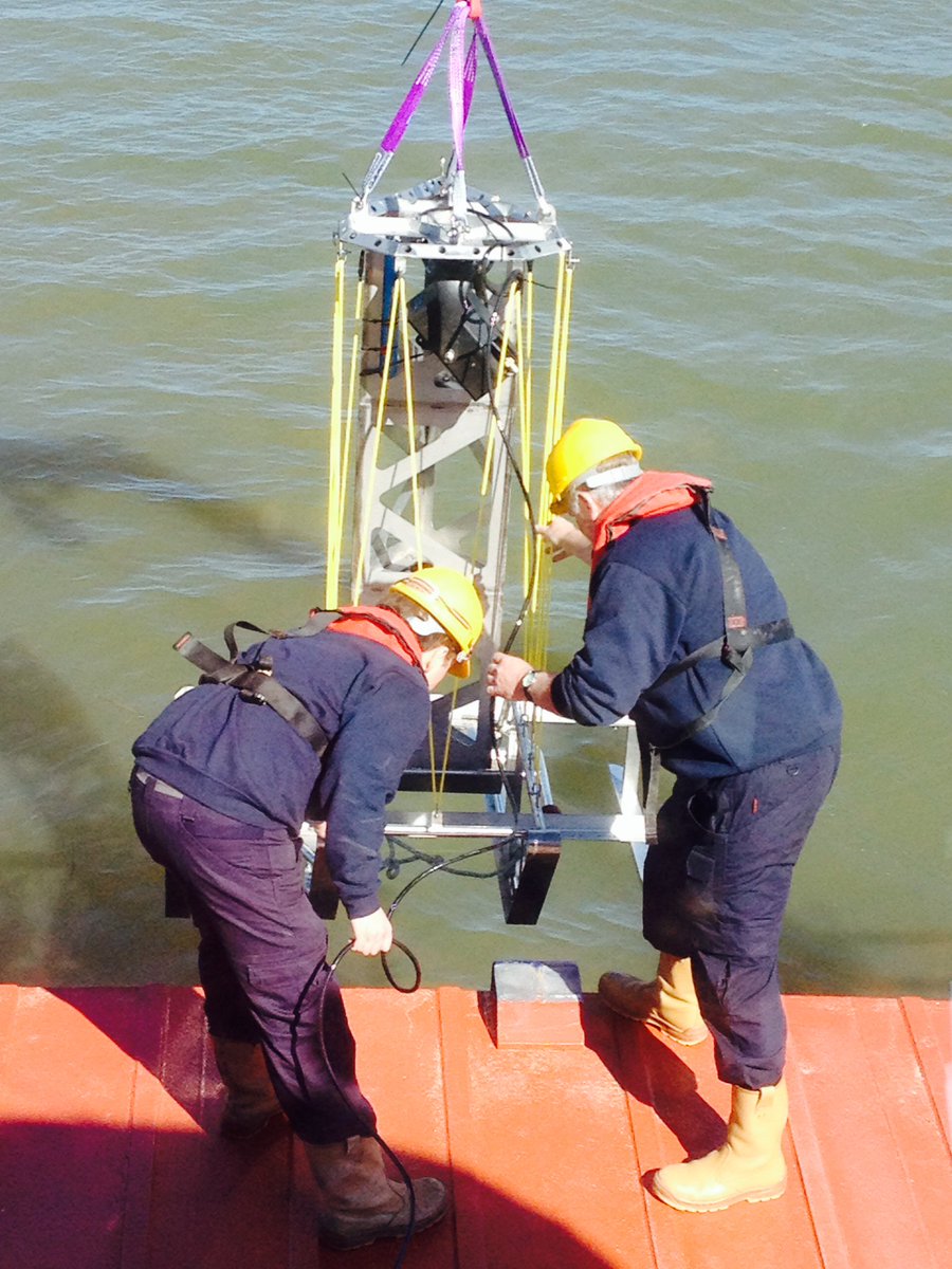 Sonar cameras can “see” in murky water-ideal for surveying marine habitats in The Wash #MPA @eastern_ifca #NEmarine