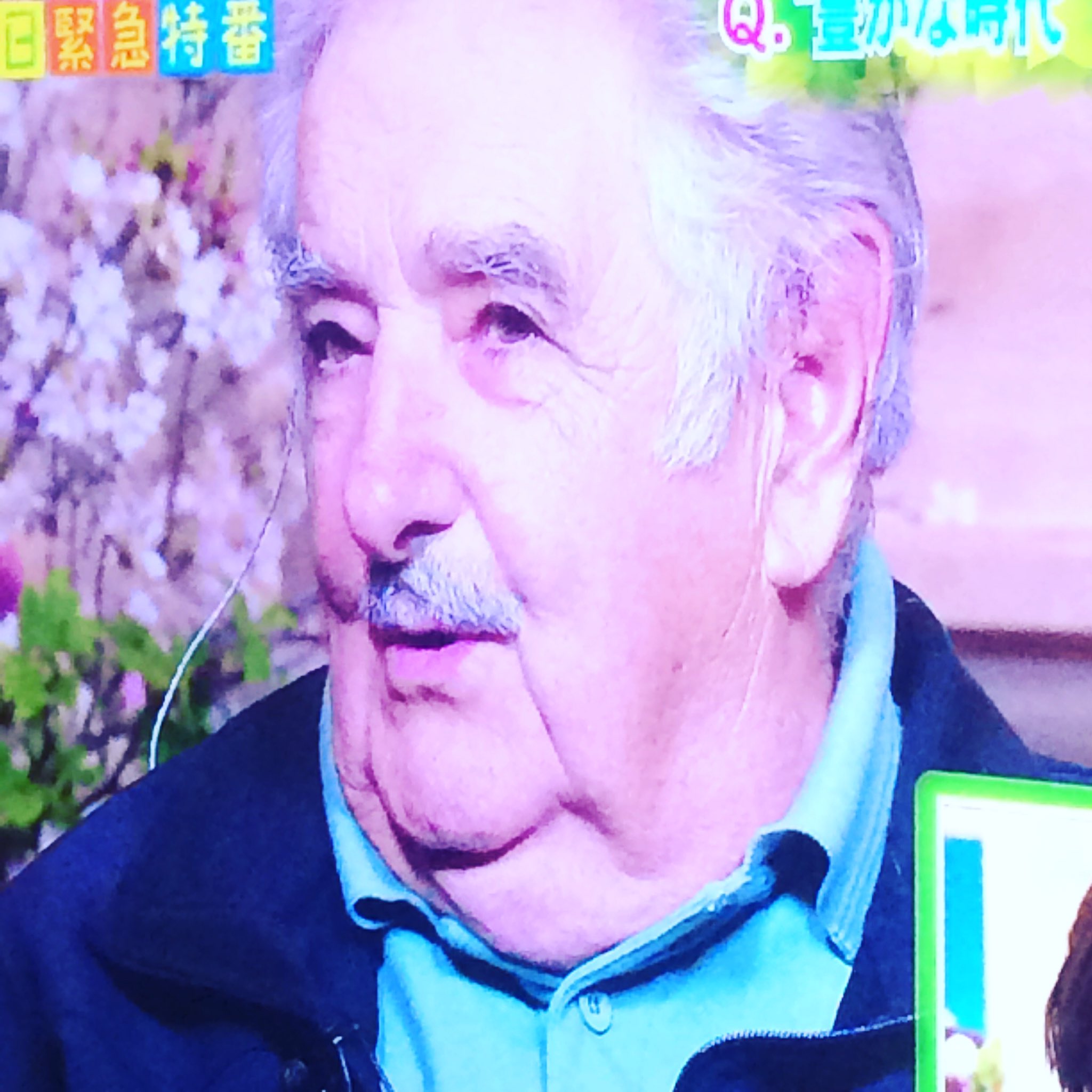 ホセムヒカ Twitter Search Twitter