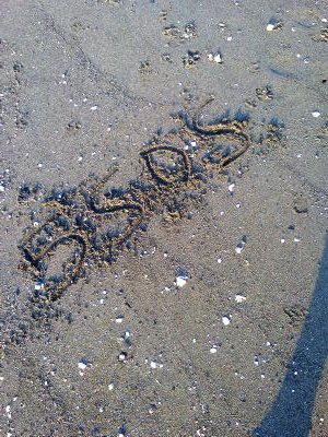 KUMPARENGLUKE's tweet photo. even when i'm at my vacay u guys r still on my mind. ily idiots💓💓 @5SOS https://t.co/JF0q3ZGXOZ