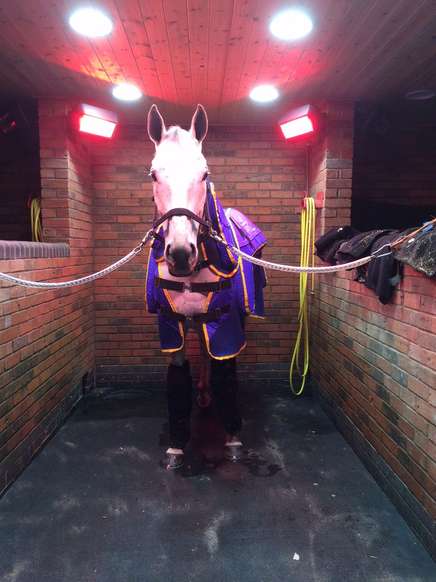 DSkeltonRacing's tweet photo. This was Al Ferof getting ready for today- he runs at 3.25 in the Melling Chase. #TeamSkelton #goodluck #AlFerof https://t.co/vox0LaPqAn